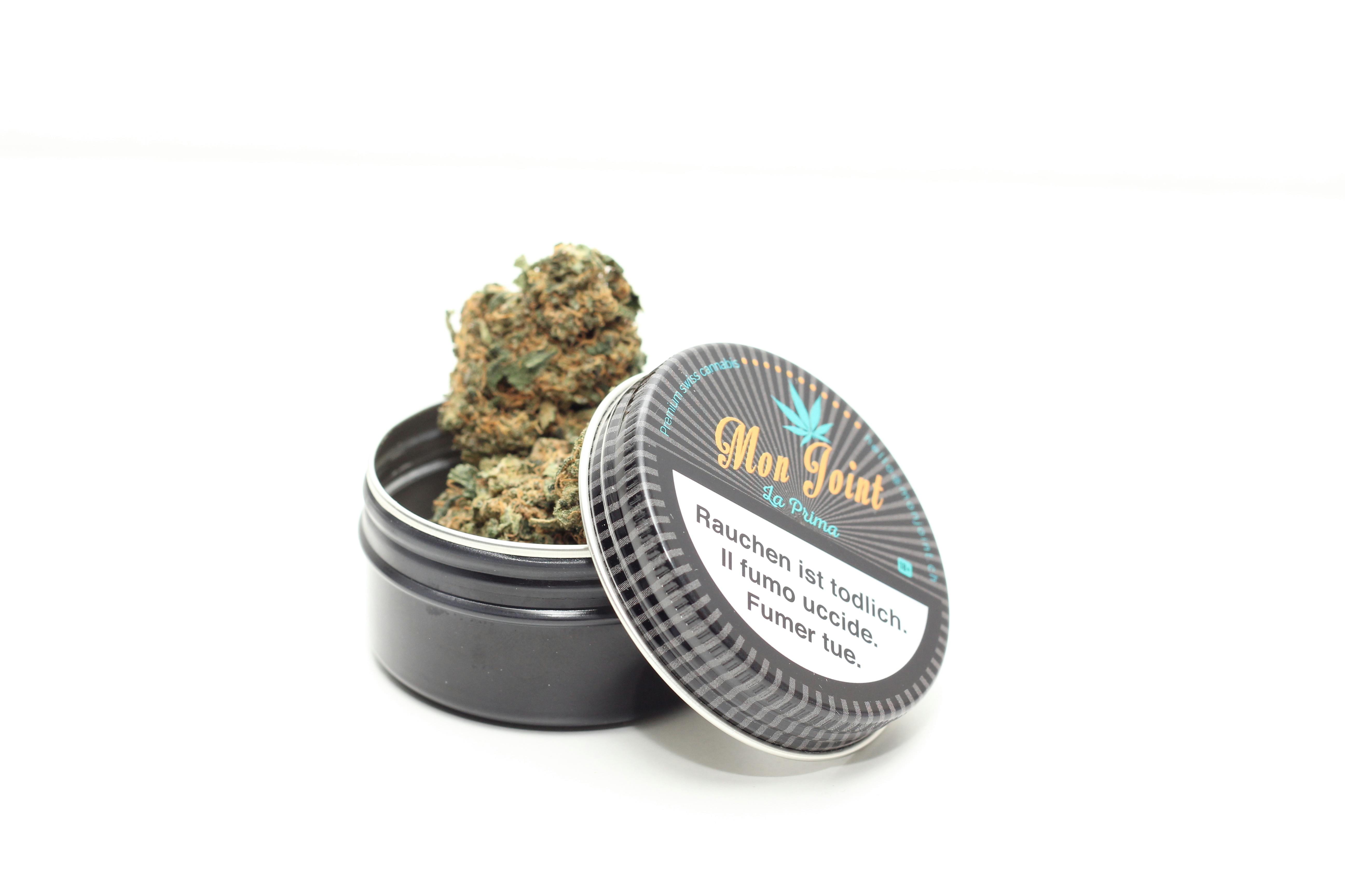 Mon Joint - Mon Joint - La Prima 4g Indoor - 1