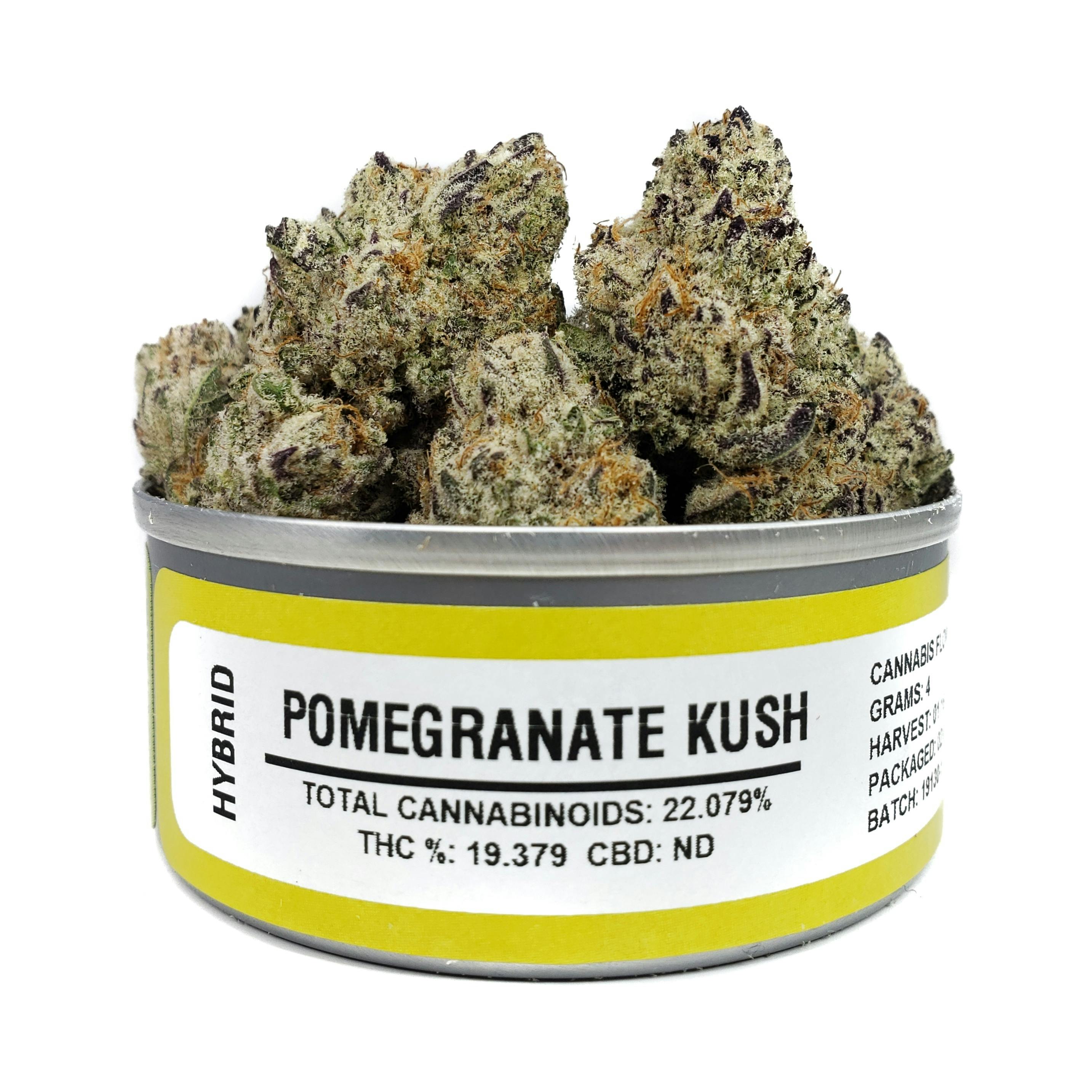 Space Monkey Meds - Pomegranate Kush - 1
