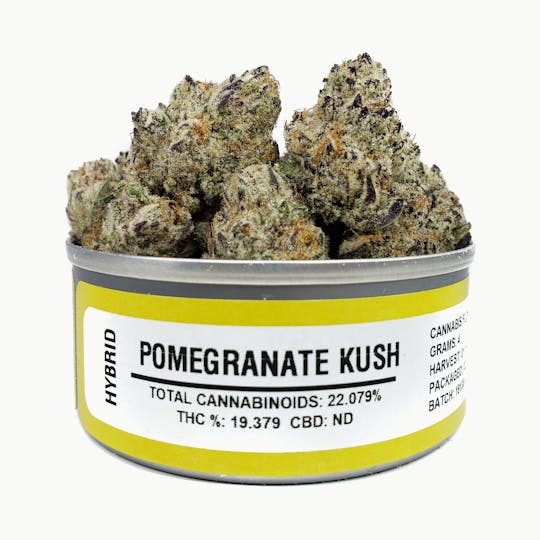 Space Monkey Meds - Pomegranate Kush - 1