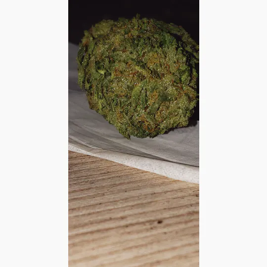 Greenthumb - Glookies - 1