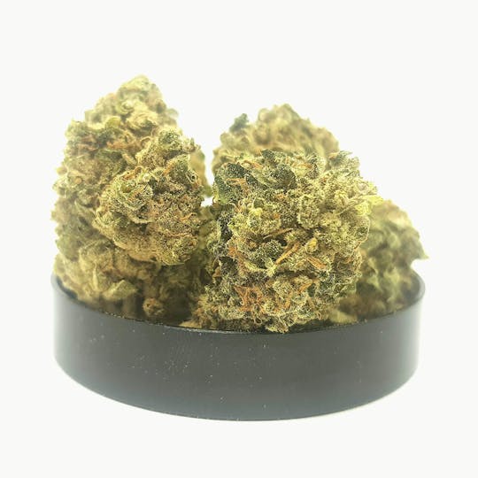 NOOON CBD - BUBBLE GUM CBD - 1