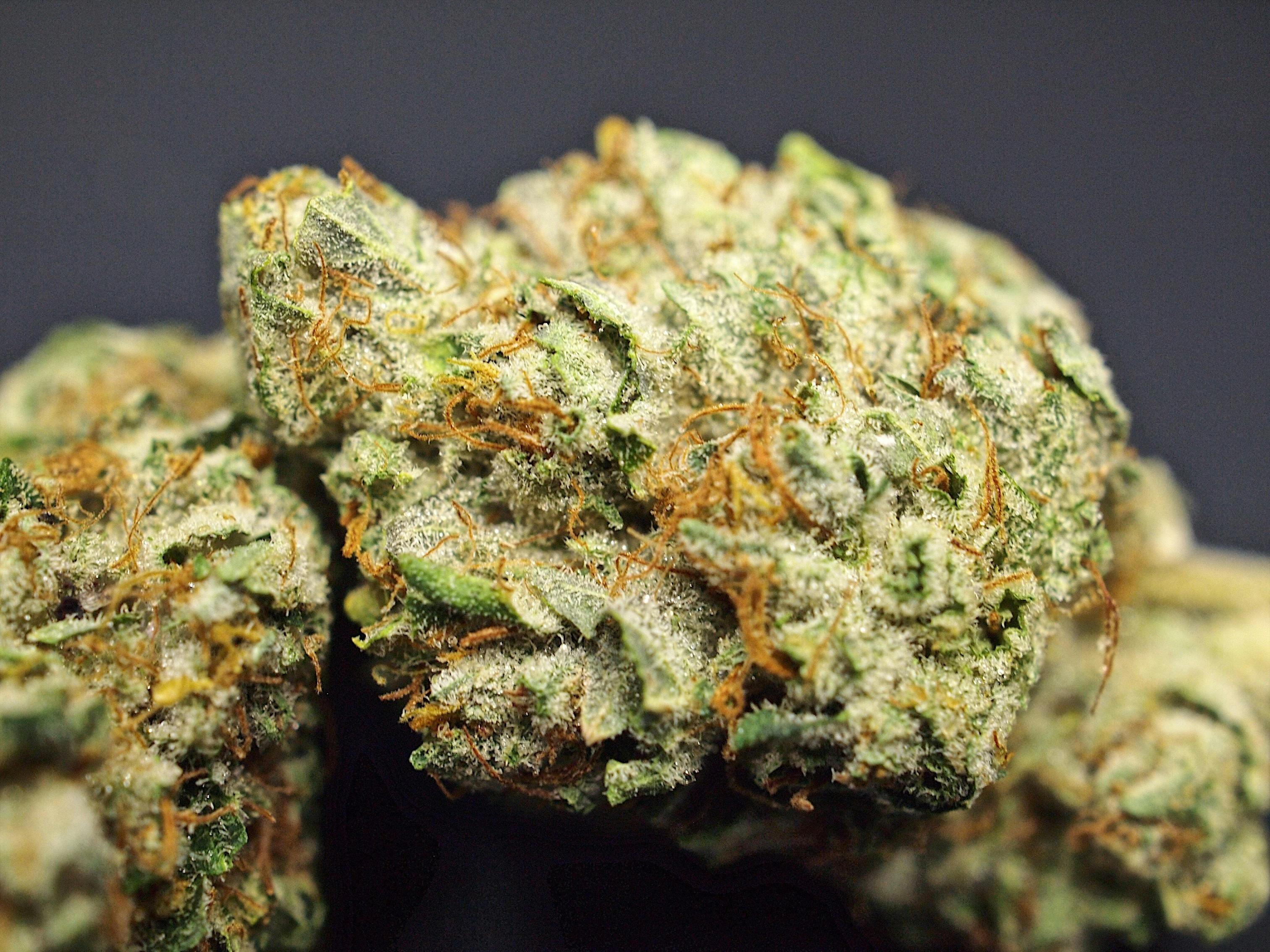 High Tide Organics - OG Kush - 1