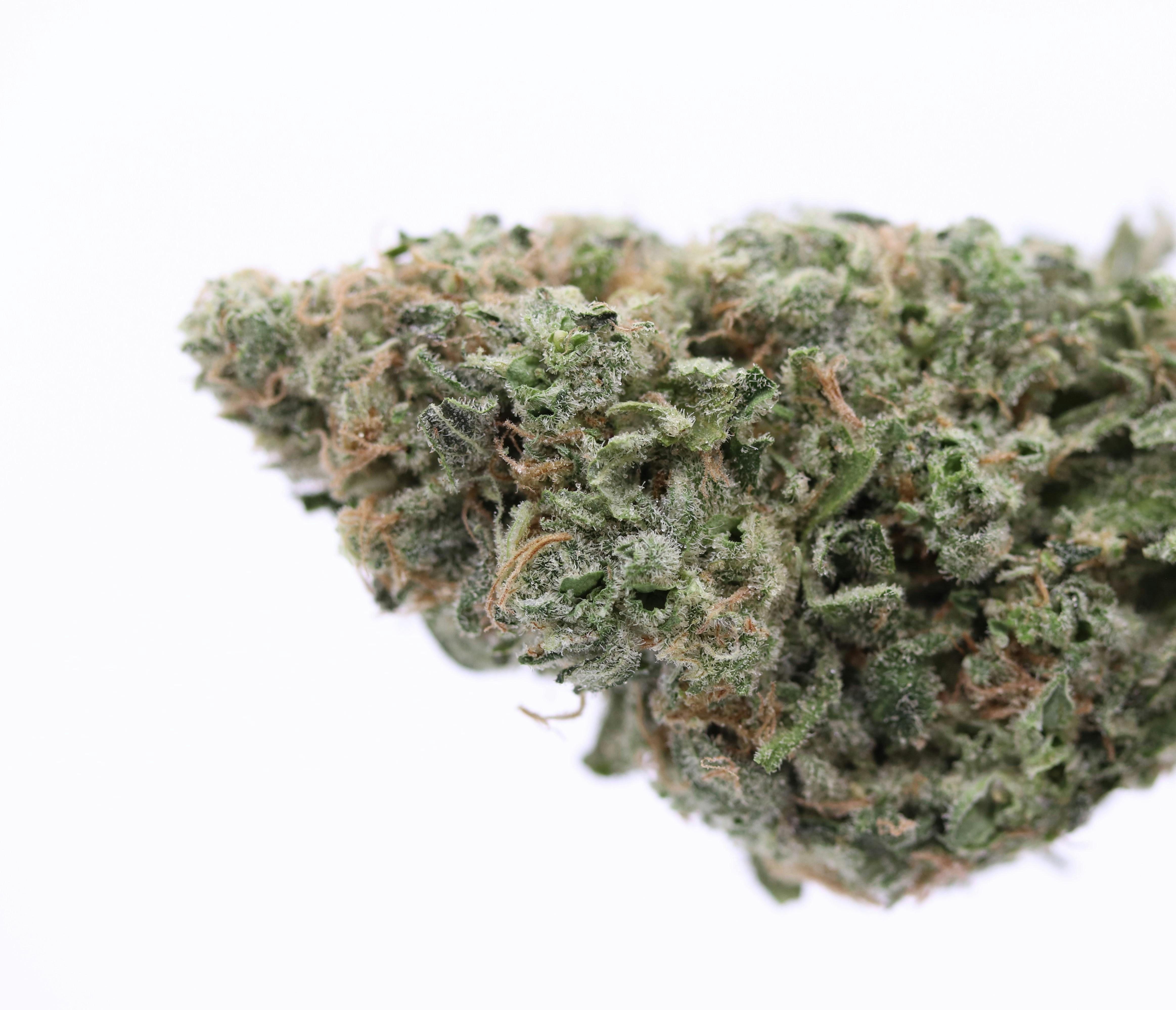 Elevation 207 - Blue Haze - 1