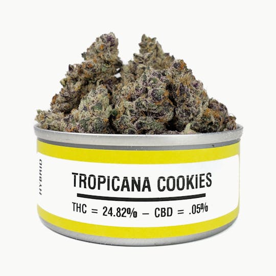 Space Monkey Meds - Tropicana Cookies - 1