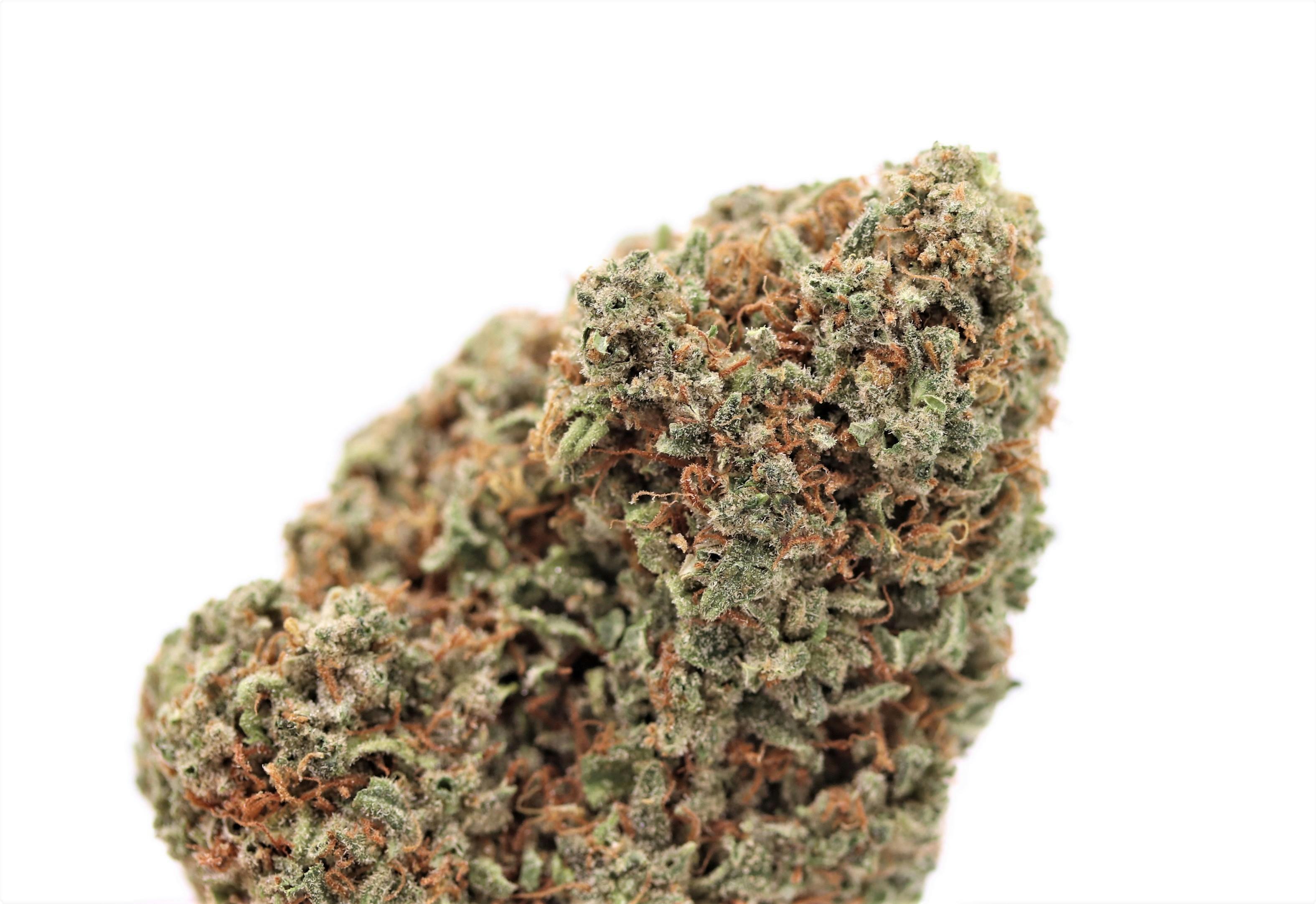 Elevation 207 - Silver Kush - 1