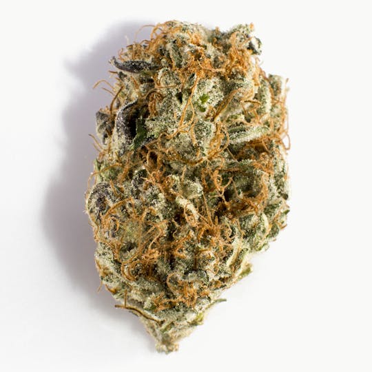 Kynd Cannabis - Starburst - 1