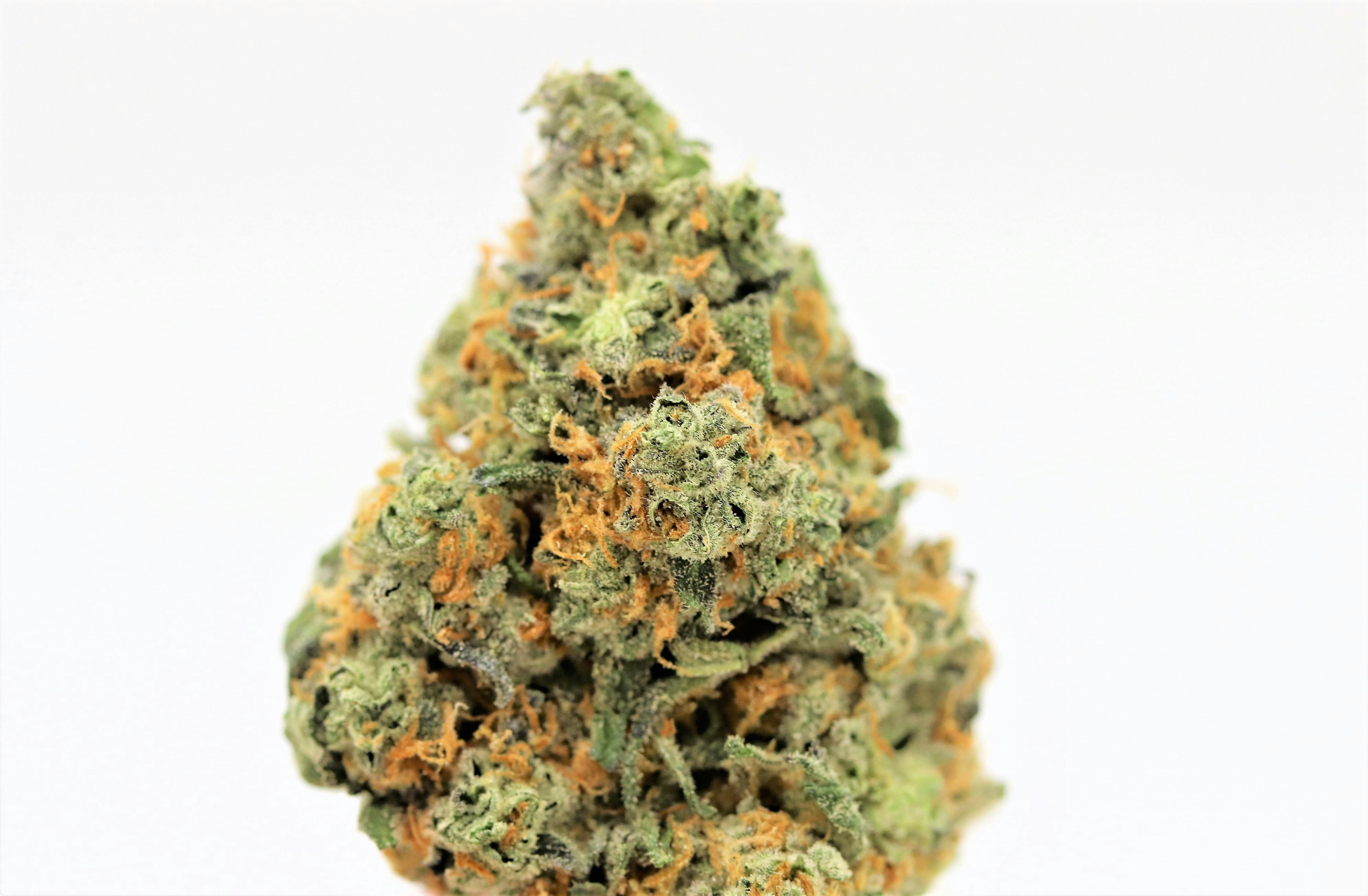 Elevation 207 - Sour Banana Sherbet - 1