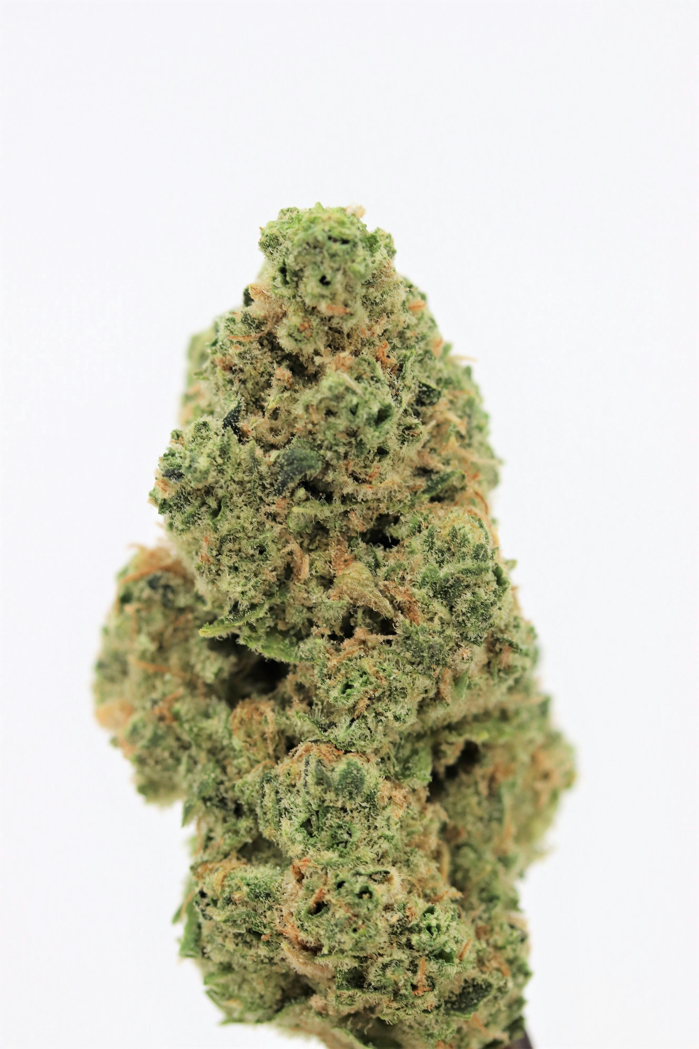 Elevation 207 - Blueberry Haze - 1