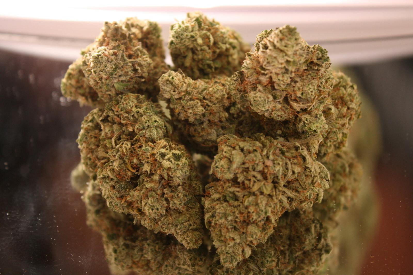 Fr33dom Farms - Original Glue (GG #4) - 1