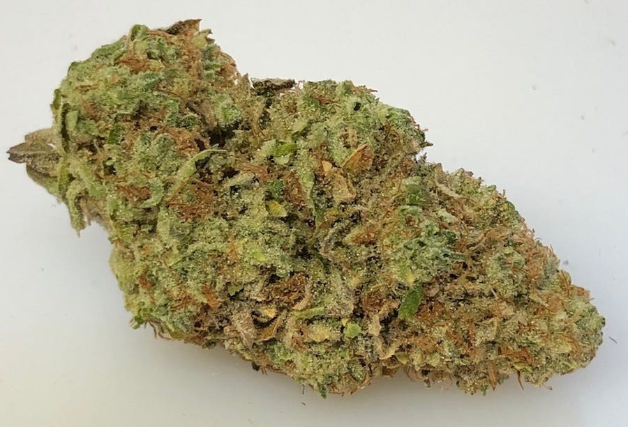 Fr33dom Farms - HuckleBetty - 1