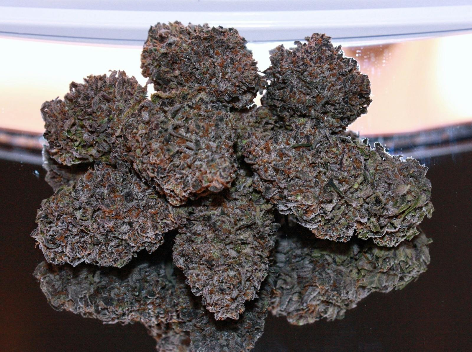 Fr33dom Farms - Purple Widow - 1