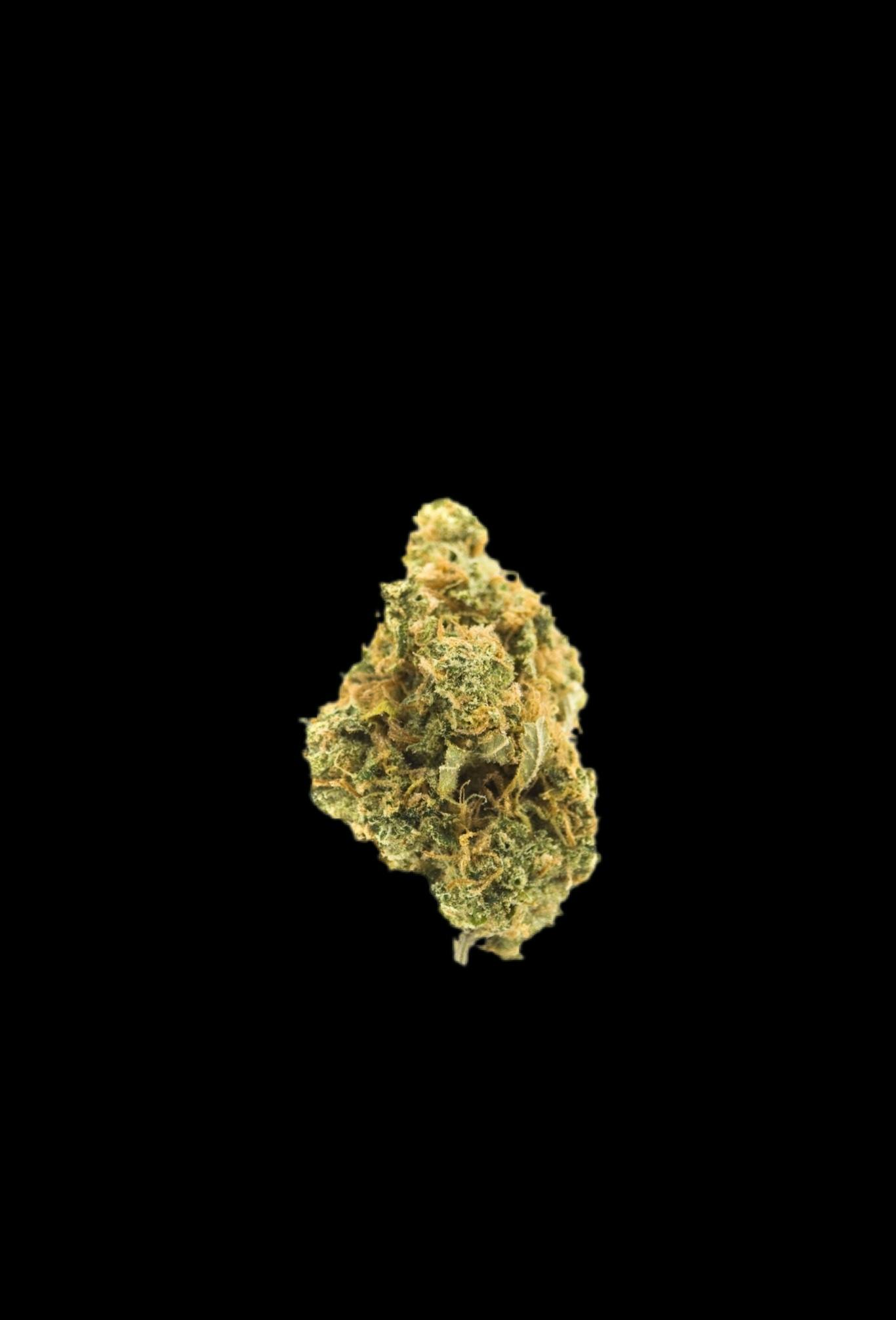 Lucky Lion - Royal Treat - 1