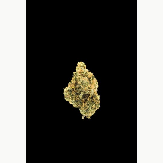 Lucky Lion - Royal Treat - 1