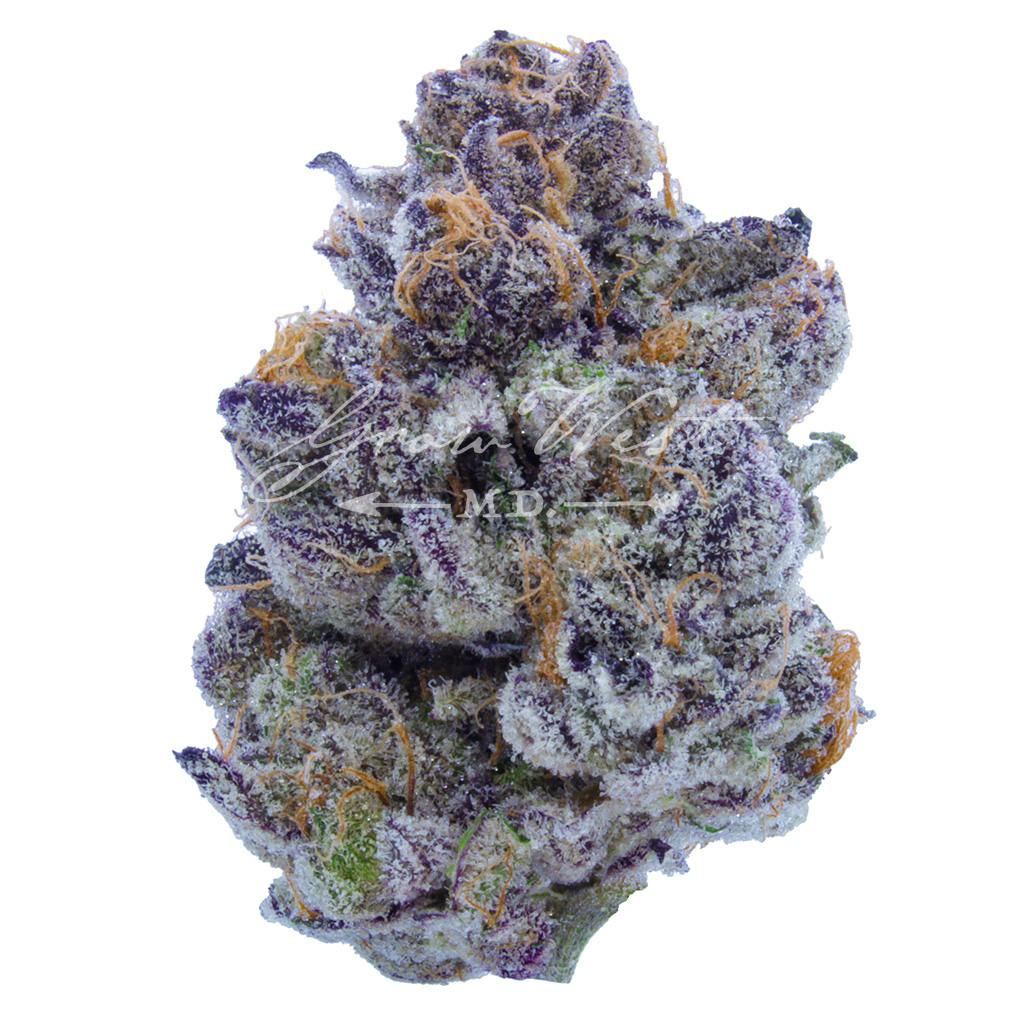 Grow West Cannabis Company - Pie Crust | Premium | Hand-Trimmed Flower - 1
