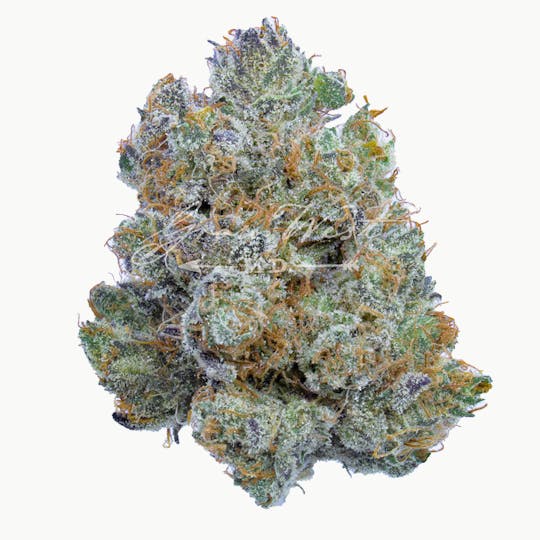 Grow West Cannabis Company - Mandarin Cookies | Premium | Hand-Trimmed Flower - 1