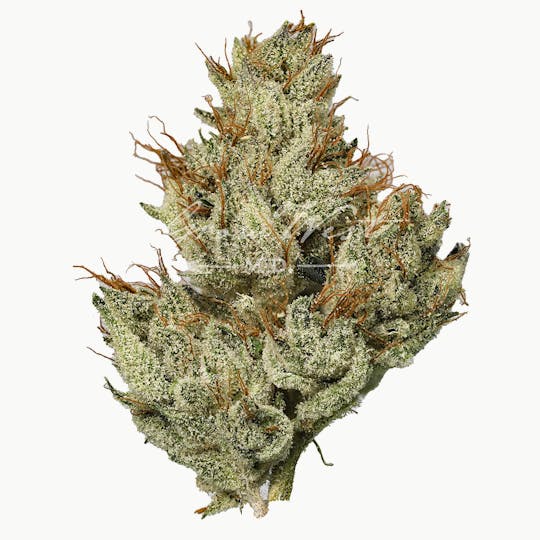 Grow West Cannabis Company - Chem 91 x Aliendawg Cherry | Premium | Hand-Trimmed Flower - 1