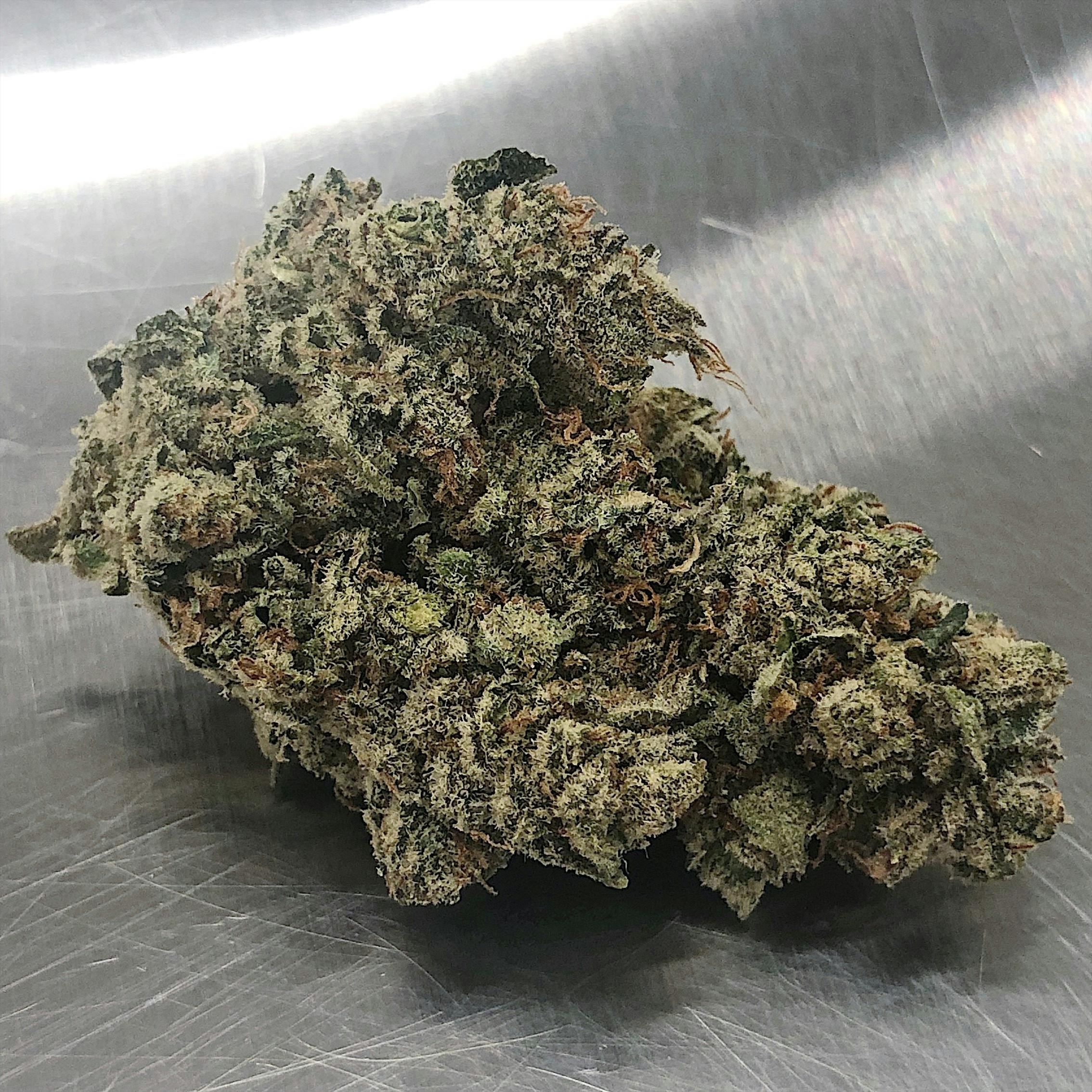 High Tide Organics - Chocolate Glue - 1