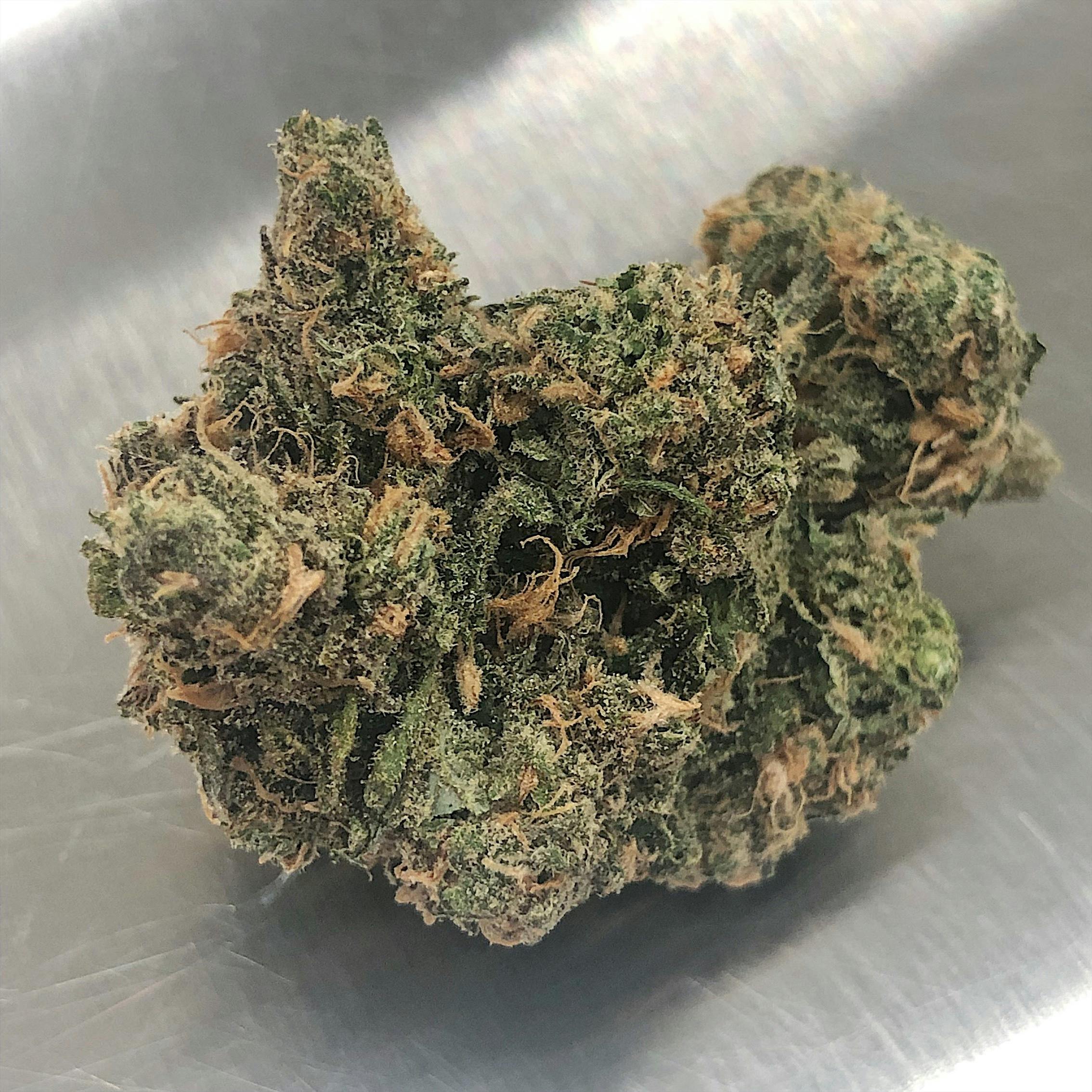High Tide Organics - Blue Dream - 1