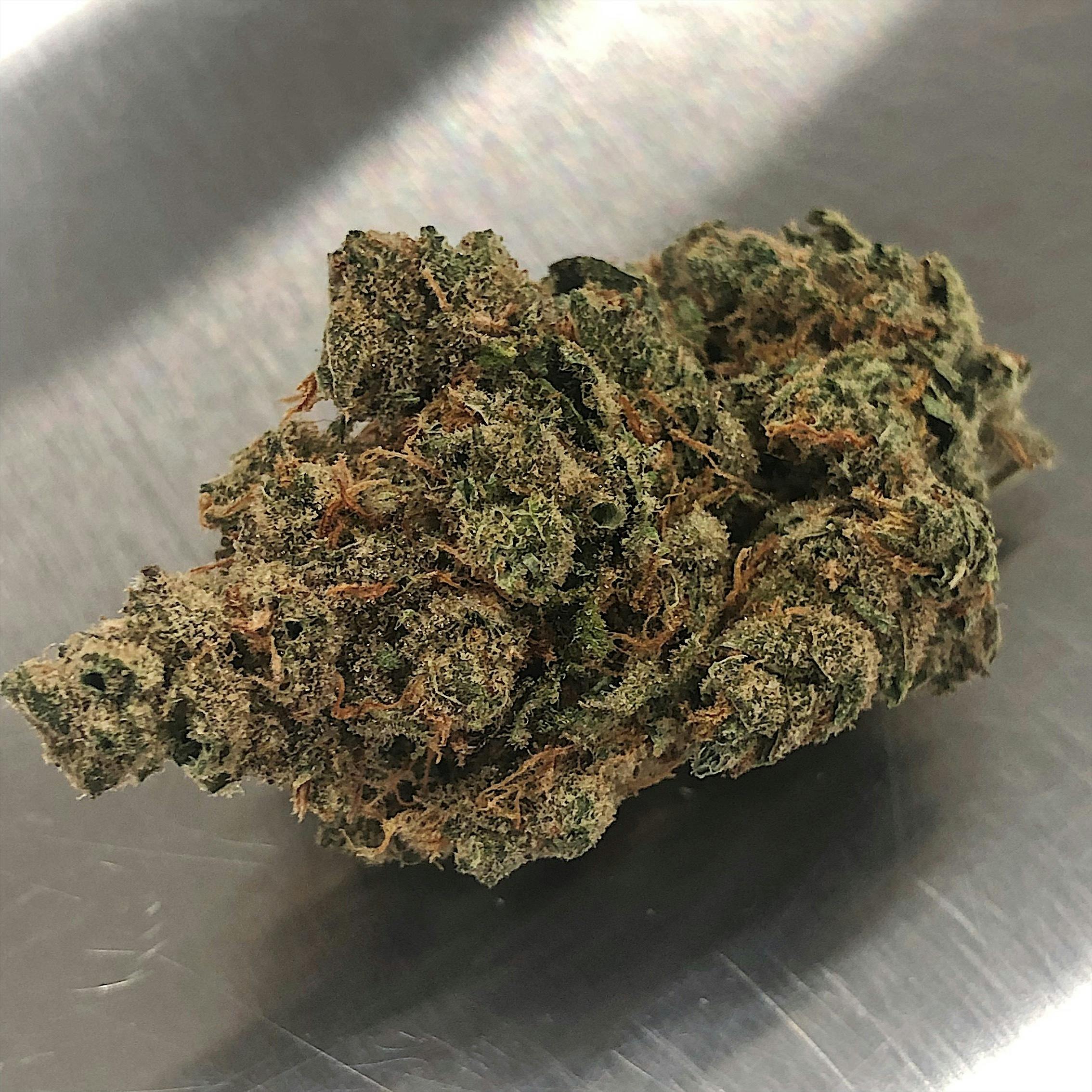 High Tide Organics - Black Jack - 1