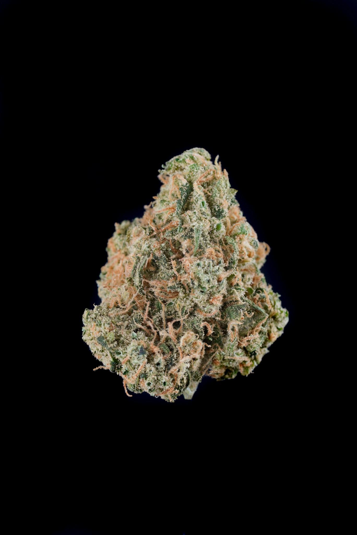 Lucky Lion - Golden Pineapple - 1