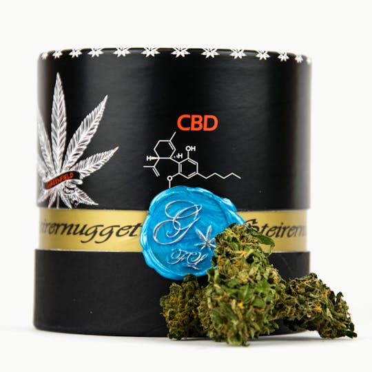 Greenfield - Steirernugget "Cheesecake" - 1