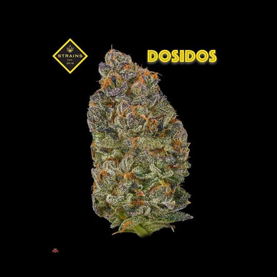 Strains - Dosidos 3.5G - 1