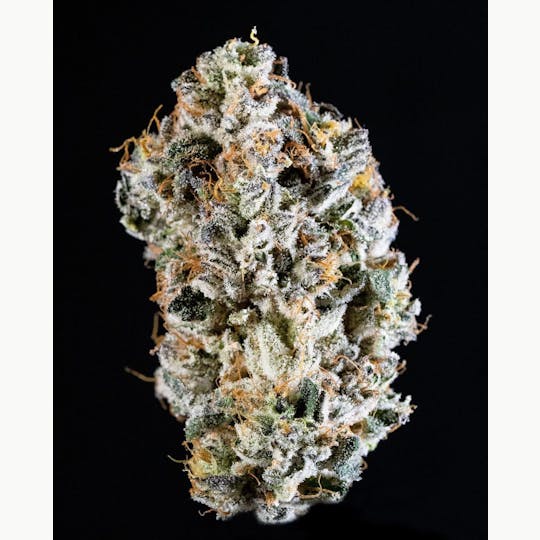 Alien Labs - Galactic Gas - Indoor - 1