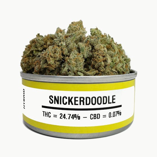 Space Monkey Meds - Snickerdoodle - 1