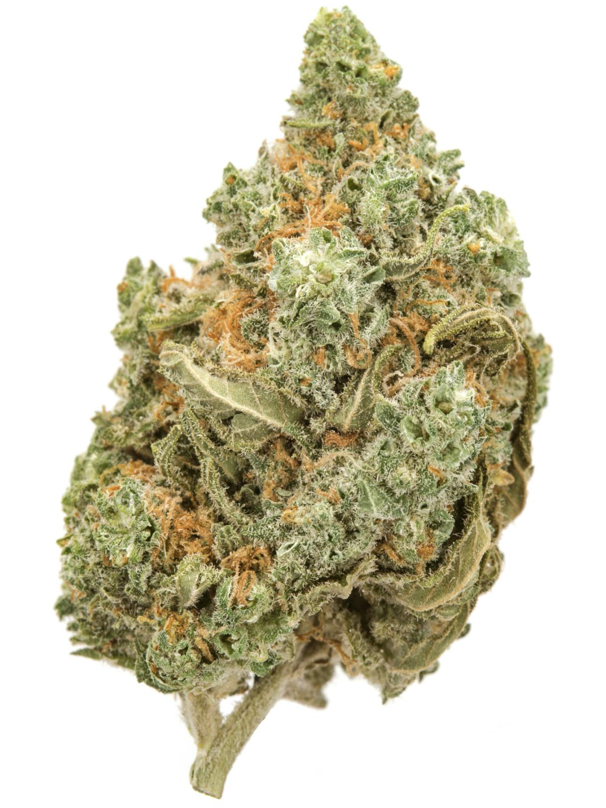 Pine Street Cannabis Company - Pine Street | Amnesia OG | Flower - 1