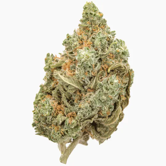 Pine Street Cannabis Company - Pine Street | Amnesia OG | Flower - 1