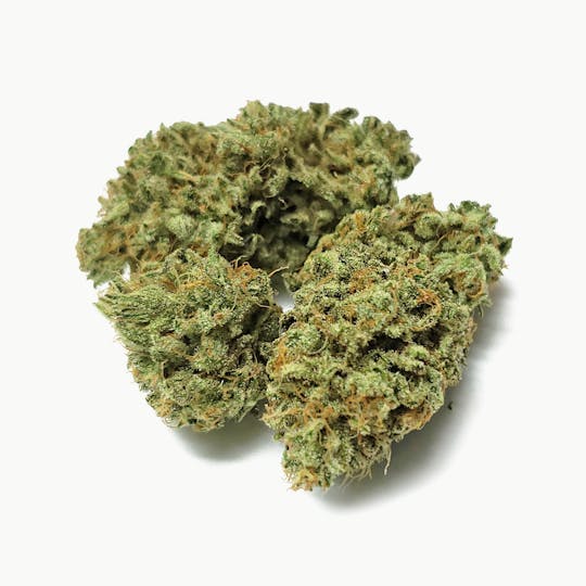 Delightful Hights - Purple Panty Dropper - 1