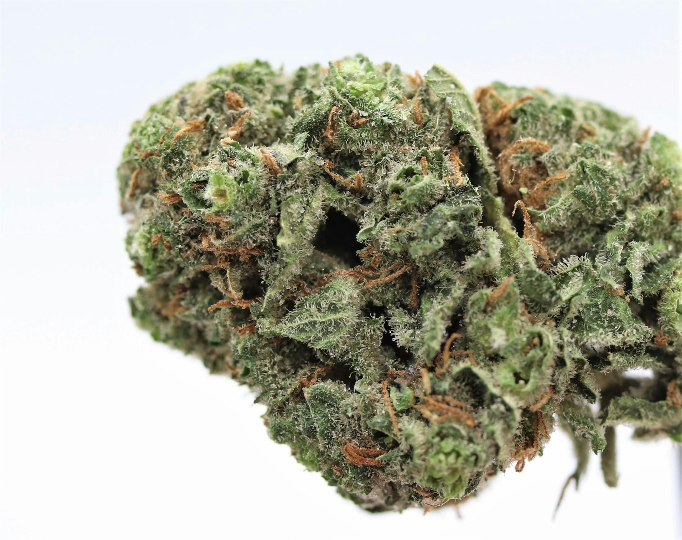 Elevation 207 - Blue Dream - 1