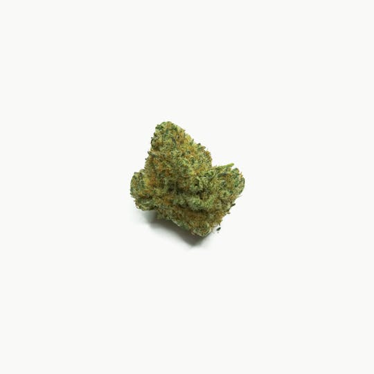Sanctuary Medicinals - Amnesia Sour Diesel - 1