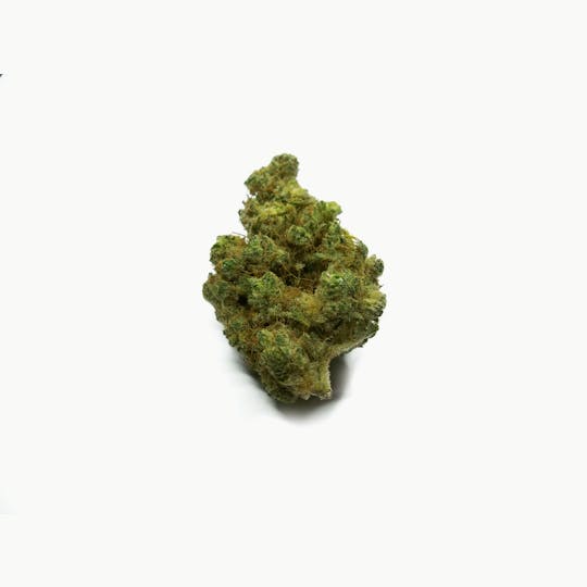 Sanctuary Medicinals - Alien Rift - 1