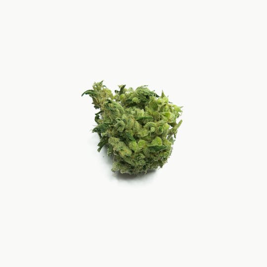 Sanctuary Medicinals - Blue Cheese - 1