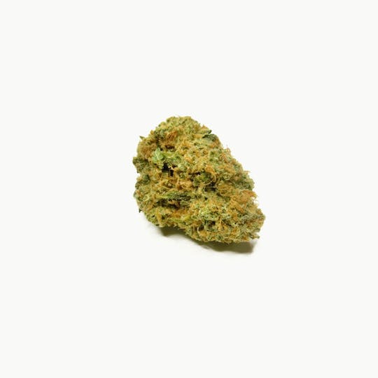Sanctuary Medicinals - Blueberry Headband - 1