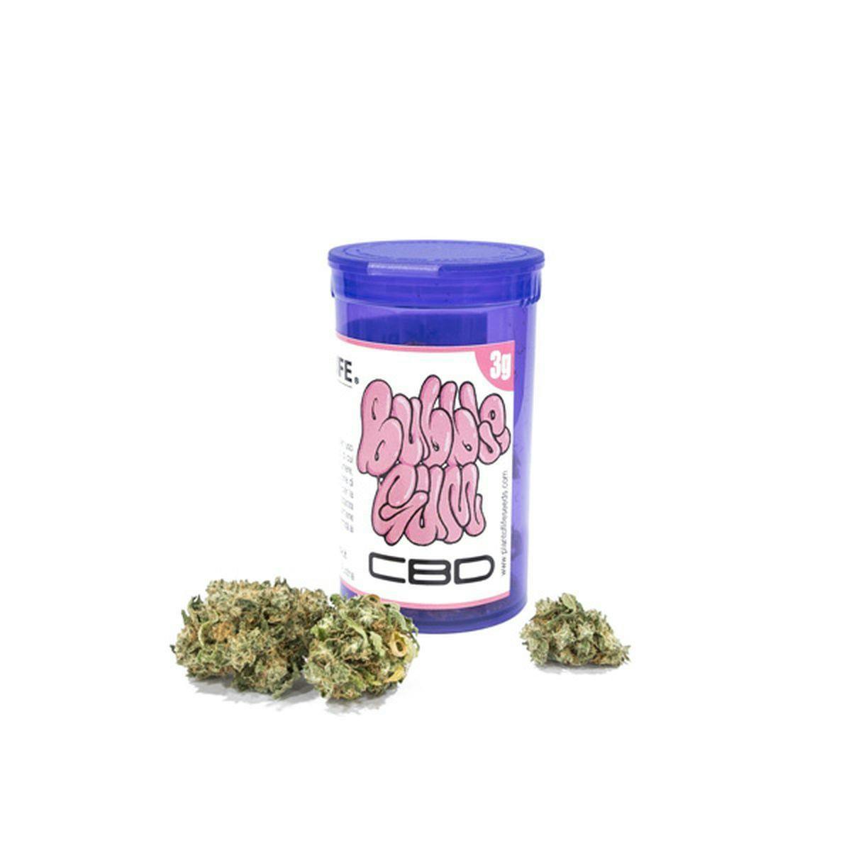 Plant Of Life - BUBBLEGUM FLOWERS - 1