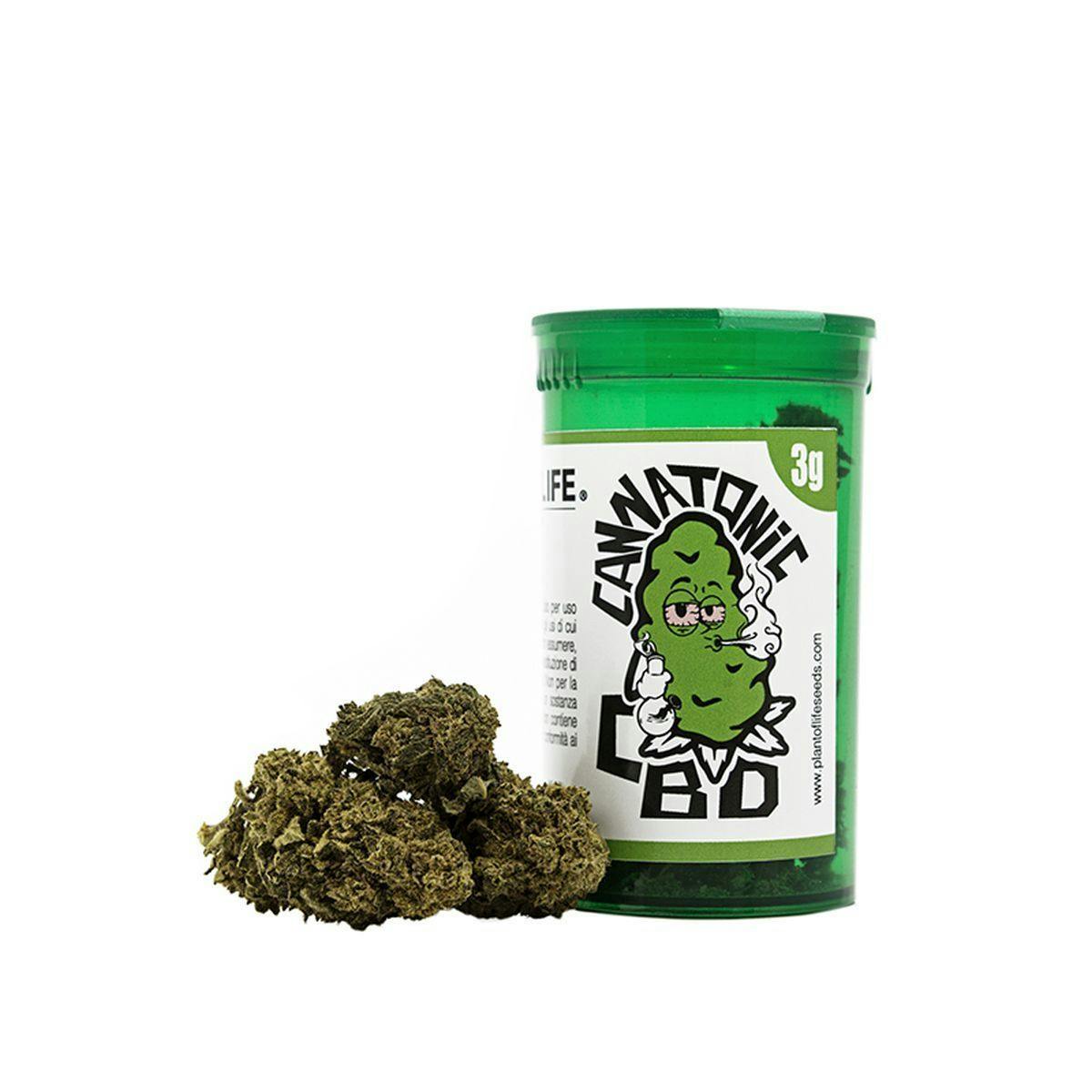 Plant Of Life - CANNATONIC FLOWERS - 1