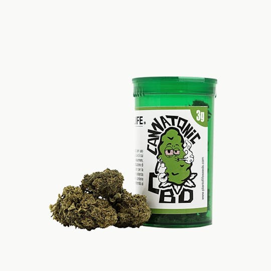 Plant Of Life - CANNATONIC FLOWERS - 1