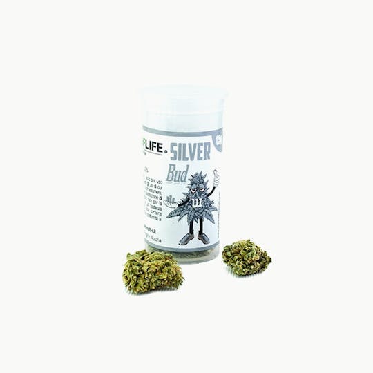 Plant Of Life - SILVER BUD FLOWERS - 1