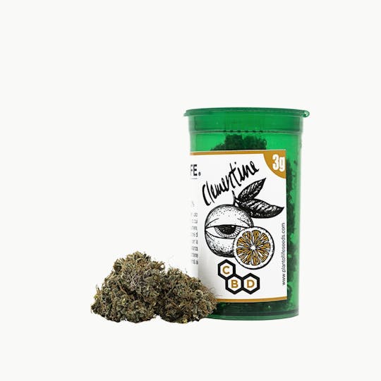 Plant Of Life - CLEMENTINE FLOWERS - 1