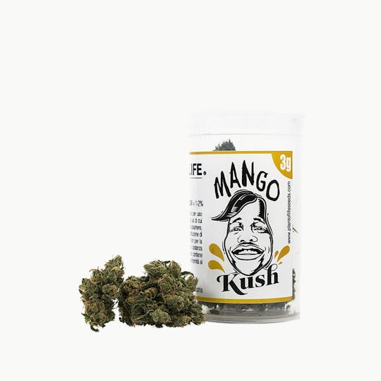 Plant Of Life - MANGO KUSH FLOWERS - 1