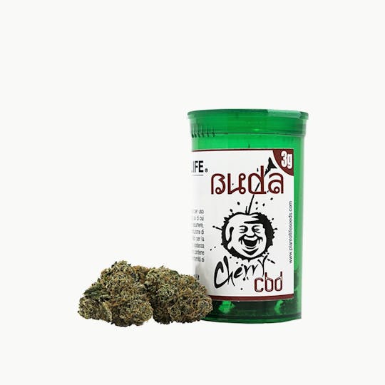 Plant Of Life - BUDA CBD FLOWERS - 1
