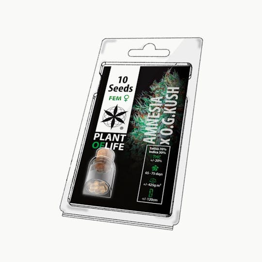 Plant Of Life - AMNESIA OG KUSH (Feminized) - 1