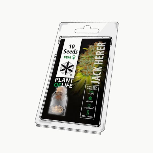 Plant Of Life - JACK HERER (Feminized) - 1