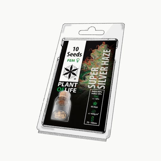 Plant Of Life - SUPER SILVER HAZE (Feminized) - 1