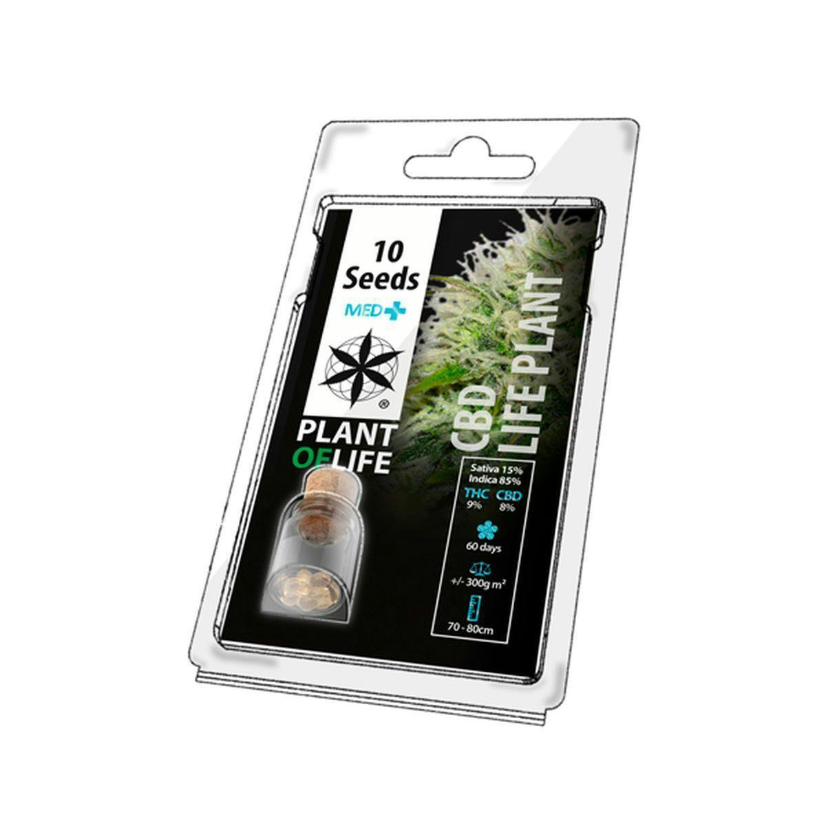 Plant Of Life - CBD LIFE PLANT (CBD Seeds) - 1