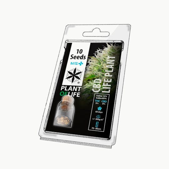 Plant Of Life - CBD LIFE PLANT (CBD Seeds) - 1
