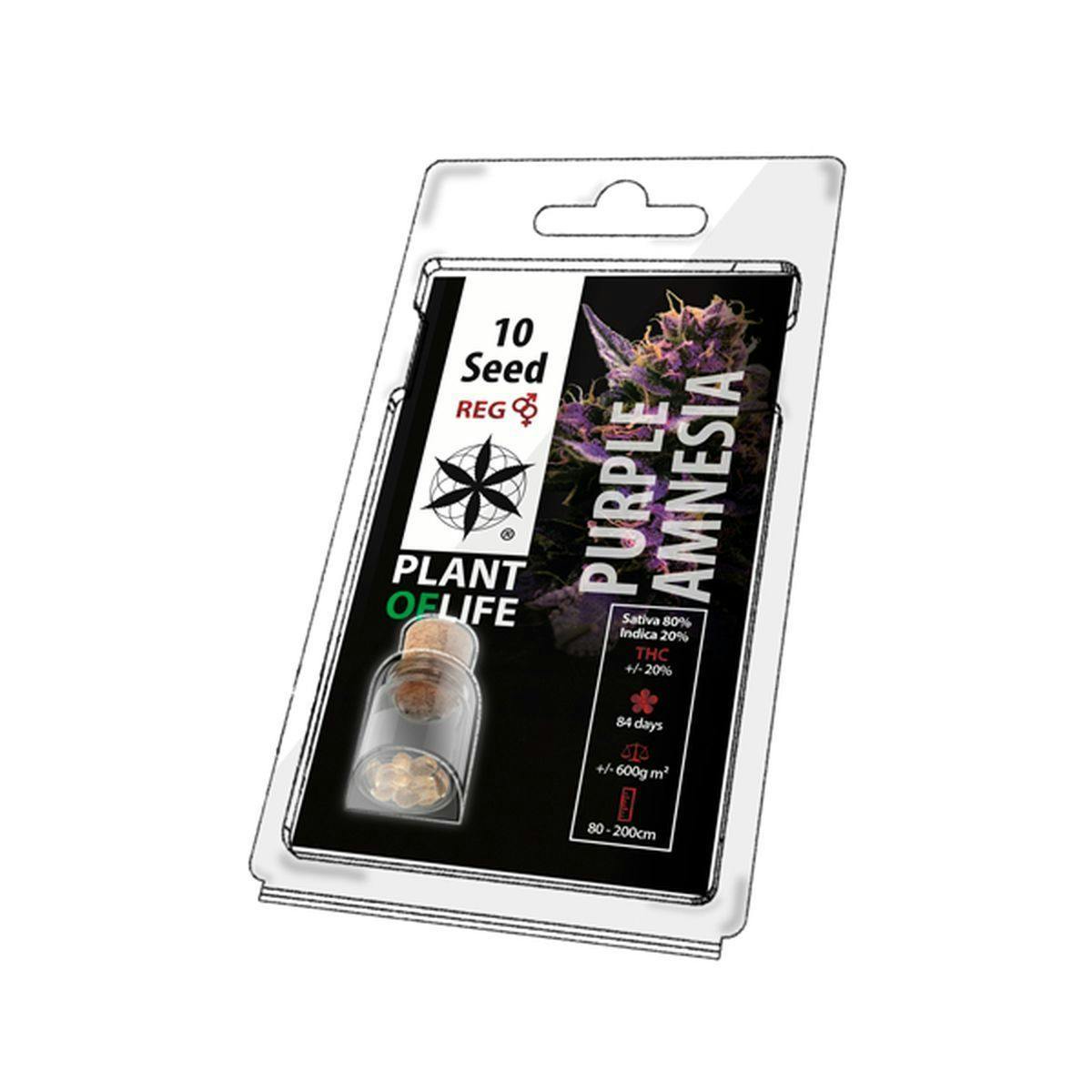 Plant Of Life - PURPLE AMNESIA (Regular) - 1