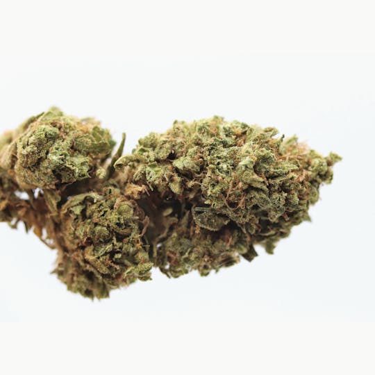 Elevation 207 - White Widow - 1